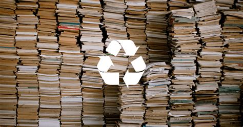 Can You Recycle Books: The Journey of Knowledge and Environmental Responsibility