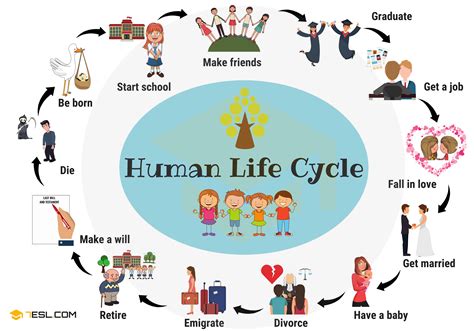 to what does the word movement in music normally refer? how can it be used metaphorically to describe the progression of human life